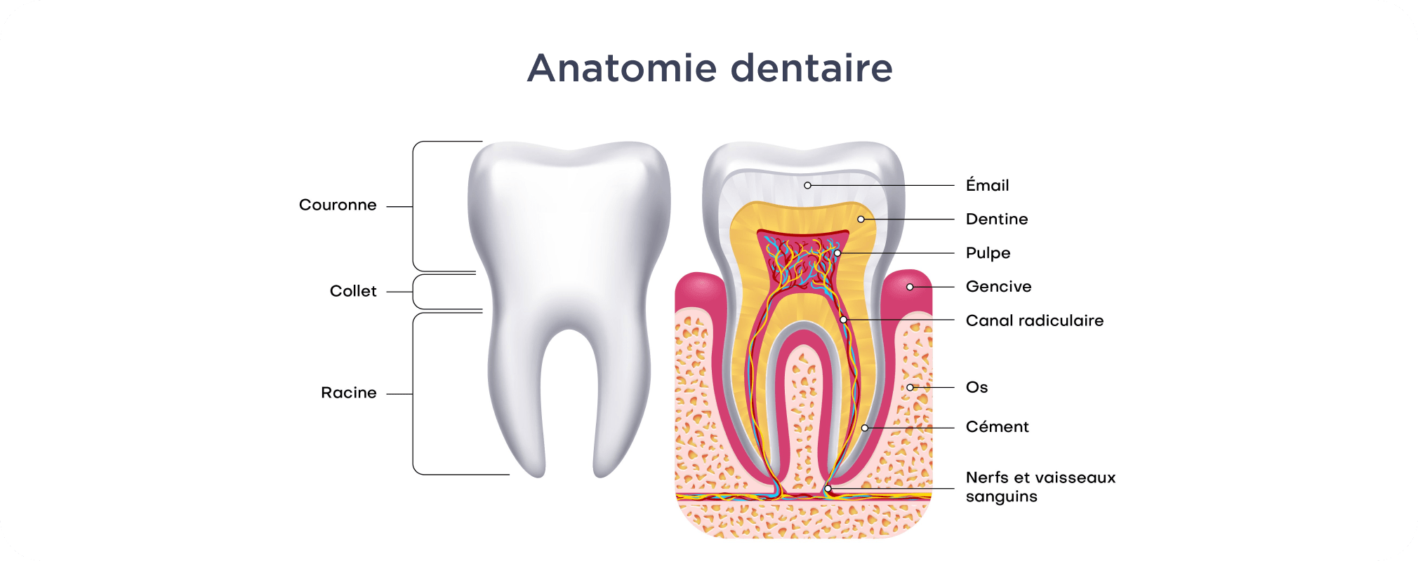 Dentiste Vincennes 94300 implants dentaires